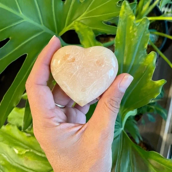 The Gift of Happiness - Picture 6 of 8